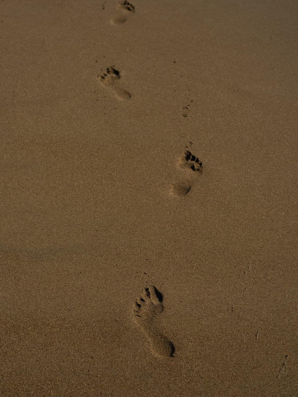 footprints