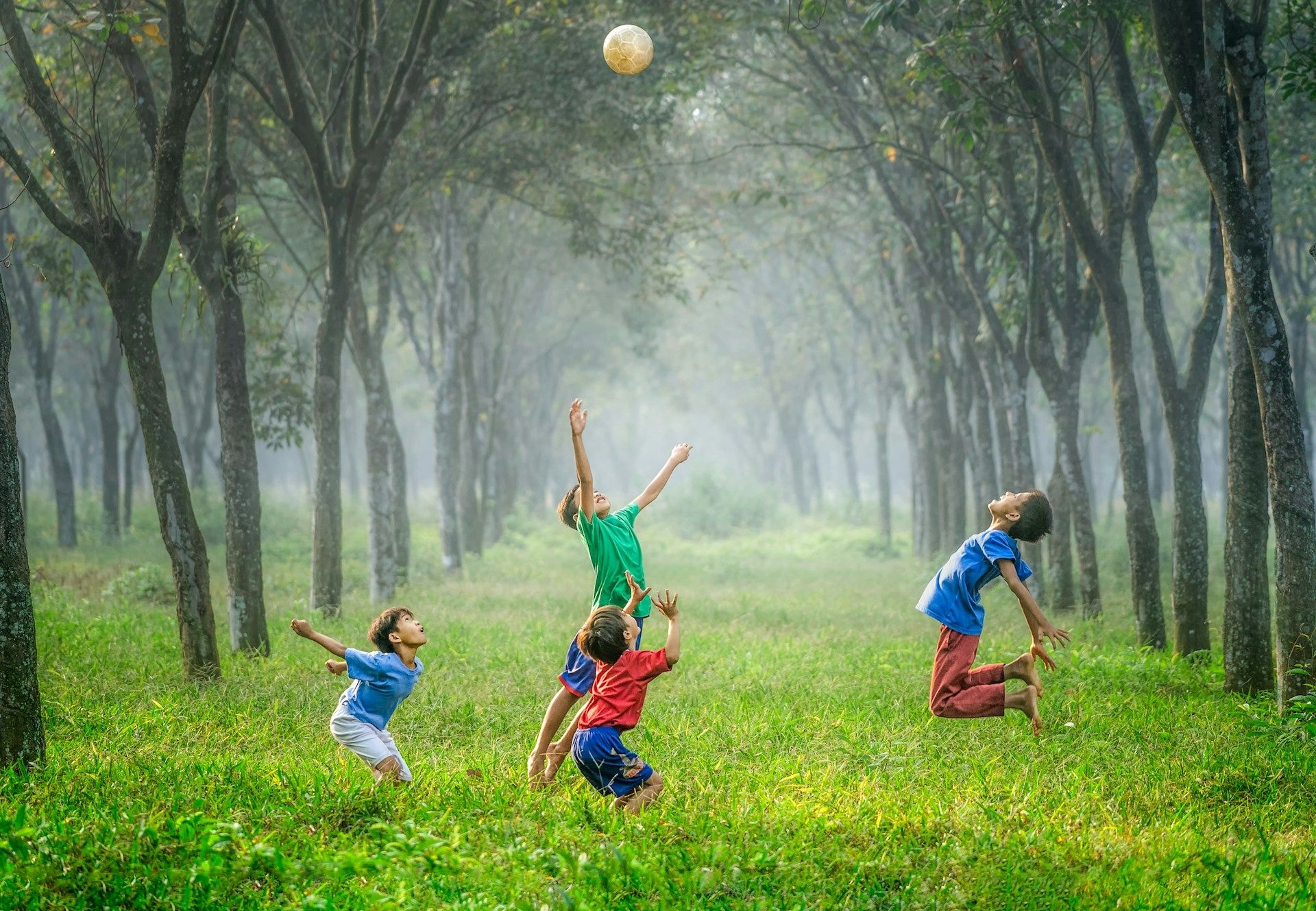 children playing in a forest