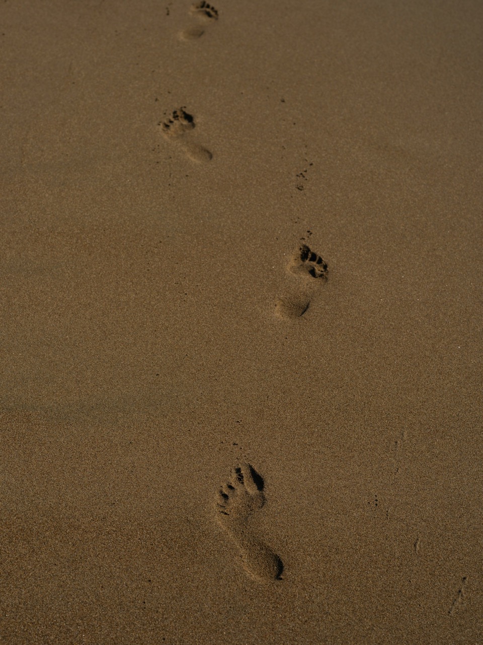 footprints